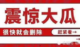 体育圈八卦 今日吃瓜爆料,今日吃瓜爆料，揭秘明星运动员背后的故事